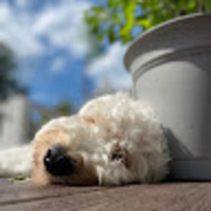 Meet your Posher, Vishya